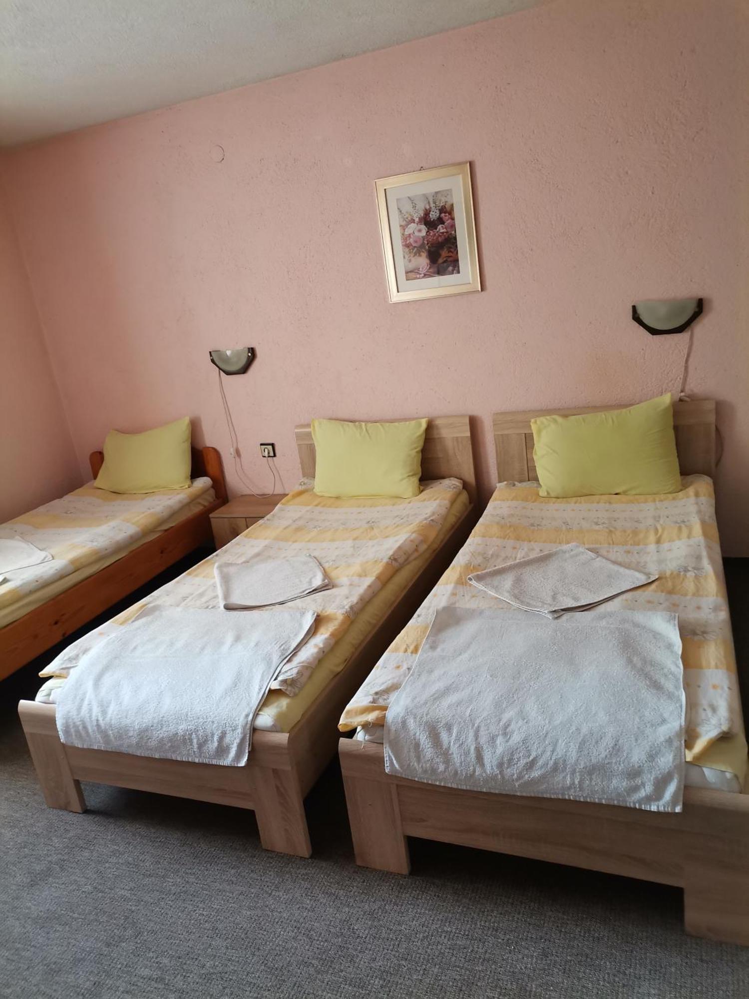 Family Hotel Santo Банско Экстерьер фото